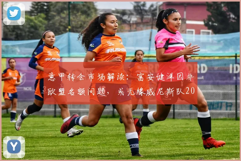 意甲转会市场解读：富安健洋因非欧盟名额问题，或无缘威尼斯队2026赛季引援计划